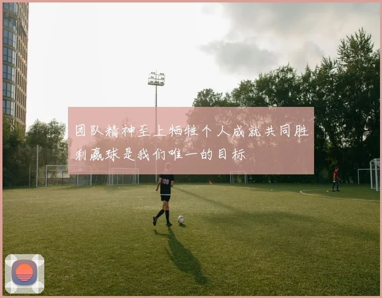 团队精神至上牺牲个人成就共同胜利赢球是我们唯一的目标
