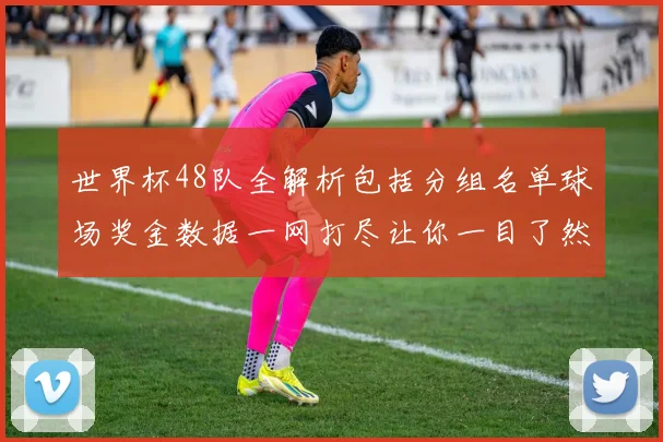 世界杯48队全解析包括分组名单球场奖金数据一网打尽让你一目了然